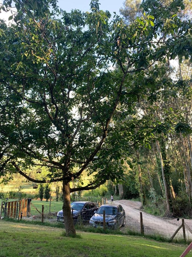 Apartamentos Rurales Las Garzas De Oyambre سان بيفينتي ديلا باركيرا المظهر الخارجي الصورة